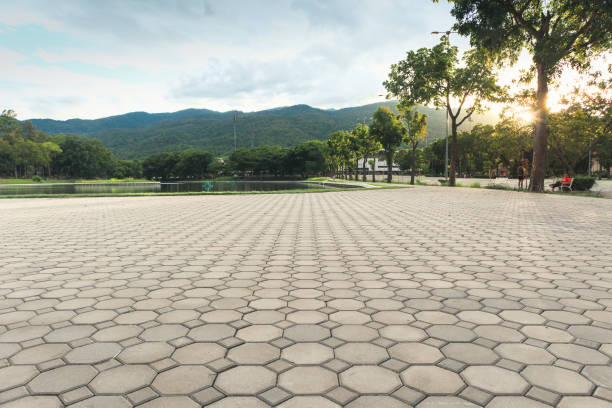 Best Driveway Repair Near Me  in Hawthorne, NV